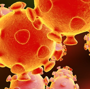 Novel-Coronavirus-Information-Center
